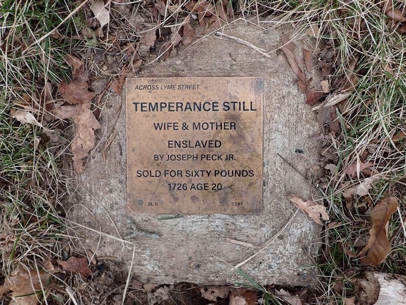 Temperance Still Witness Stone image. Click for full size.