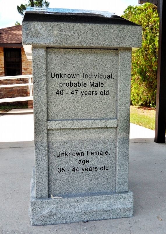 Here Rests the Remains of Unnamed Citizens image. Click for full size.