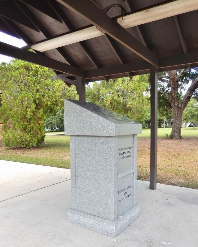 Here Rests the Remains of Unnamed Citizens image. Click for full size.