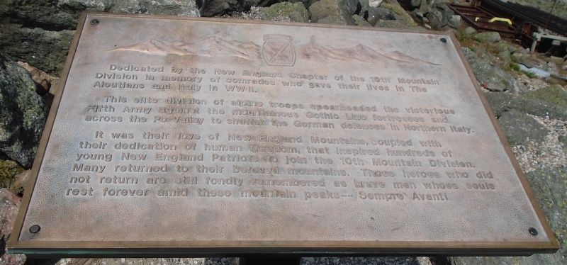 10th Mountain Division Memorial. Click for full size. 10th Mountain Division Memorial image. Click for full size.