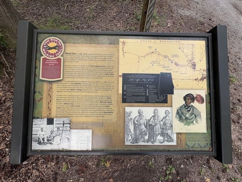 Black Fox Marker image. Click for full size.