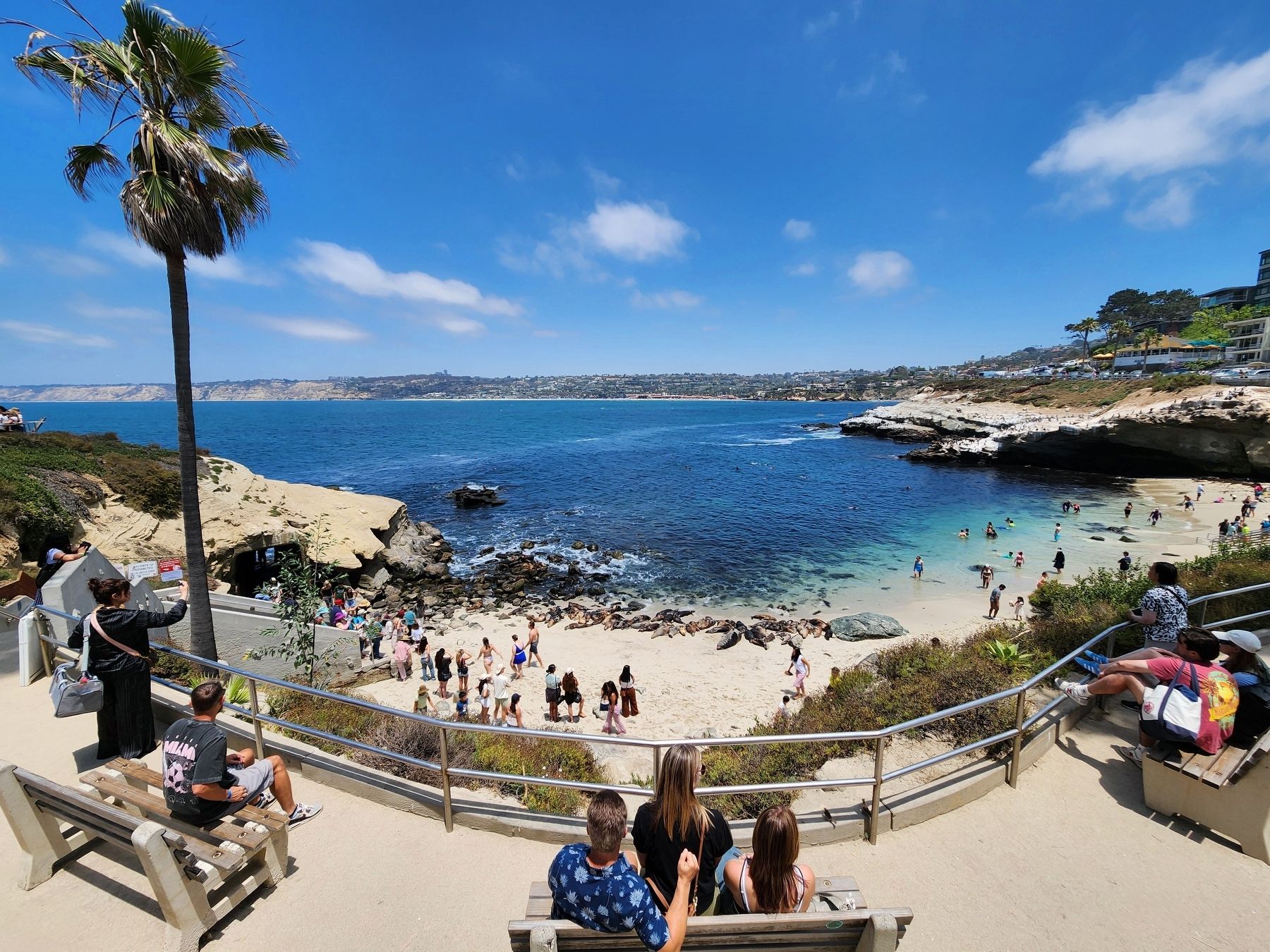 San Diego-La Jolla Underwater Park image. Click for full size.