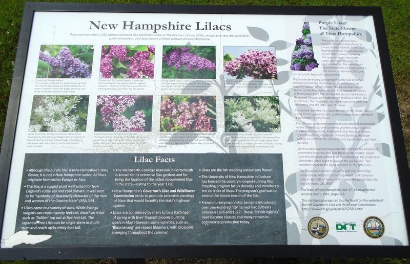 New Hampshire Lilacs Marker. Click for full size. New Hampshire Lilacs Marker image. Click for full size.