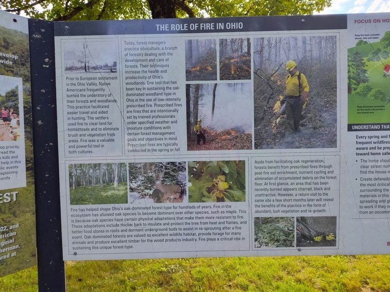 Ohio Forest Management Through the Years Marker. Click for full size. Ohio Forest Management Through the Years Marker image. Click for full size.
