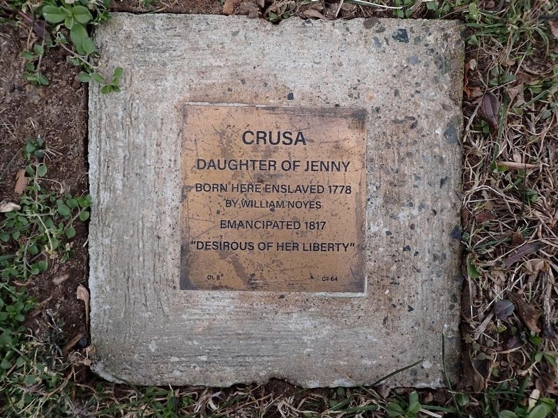 Crusa Witness Stone. Click for full size. Crusa Witness Stone image. Click for full size.