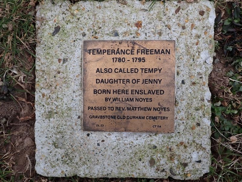 Temperance Freeman Witness Stone. Click for full size. Temperance Freeman Witness Stone image. Click for full size.