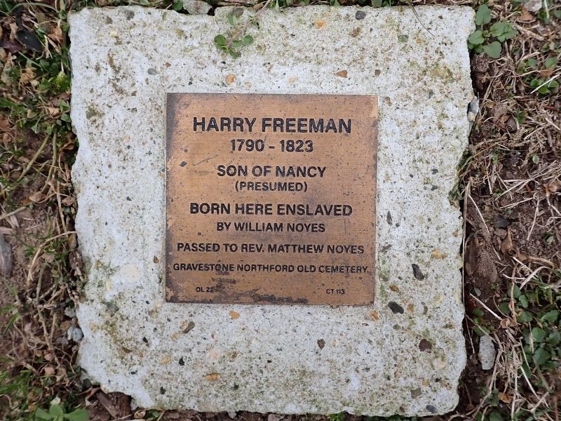 Harry Freeman Witness Stone. Click for full size. Harry Freeman Witness Stone image. Click for full size.