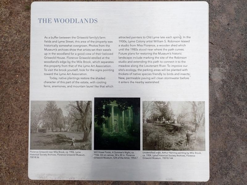 The Woodlands Marker image. Click for full size.