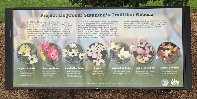 Project Dogwood: Staunton's Tradition Reborn Marker. Click for full size. Project Dogwood: Staunton's Tradition Reborn Marker image. Click for full size.