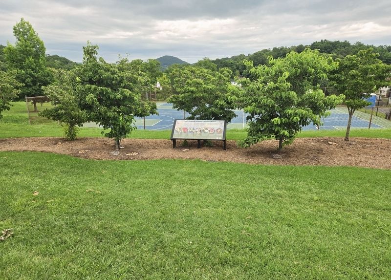 Project Dogwood: Staunton's Tradition Reborn Marker. Click for full size. Project Dogwood: Staunton's Tradition Reborn Marker image. Click for full size.