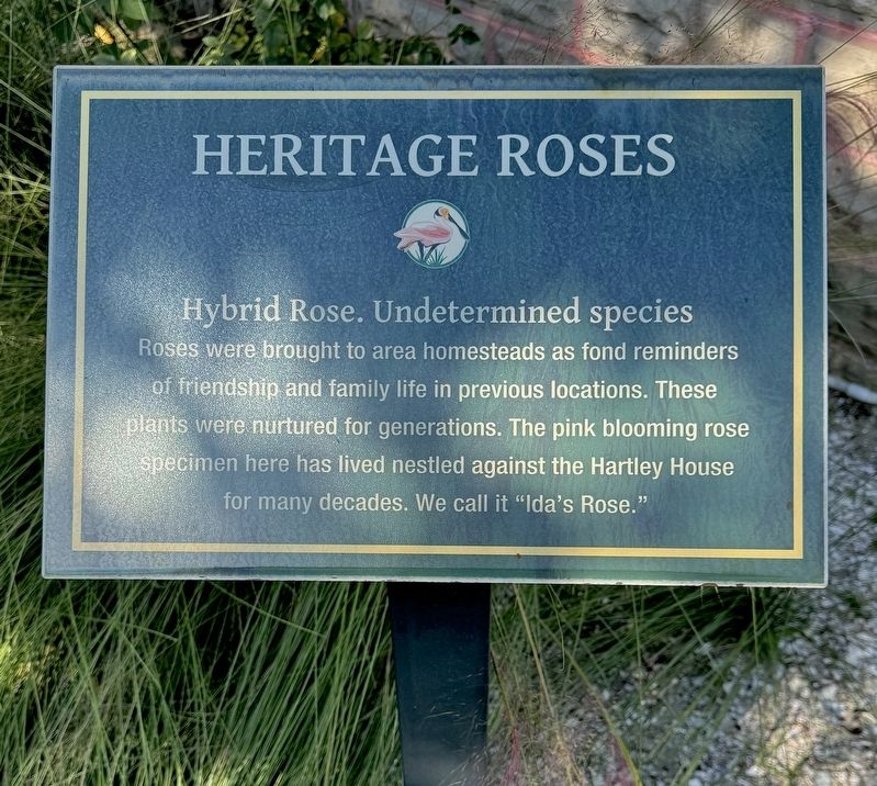 Heritage Roses Marker. Click for full size. Heritage Roses Marker image. Click for full size.