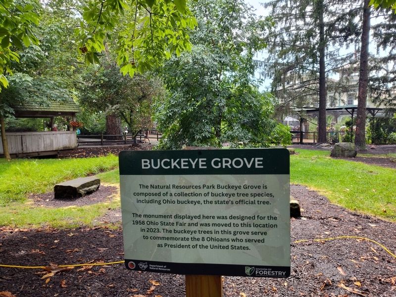 Buckeye Grove Marker. Click for full size. Buckeye Grove Marker image. Click for full size.