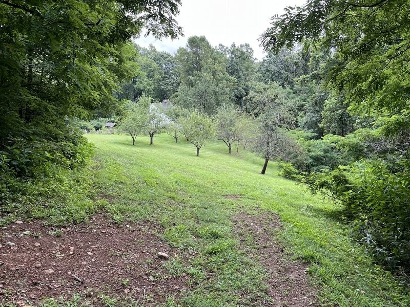 Johnson Farm Orchard image. Click for full size.