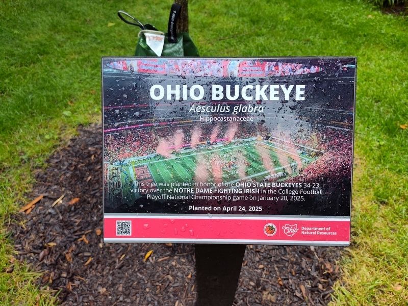 Ohio Buckeye Marker. Click for full size. Ohio Buckeye Marker image. Click for full size.