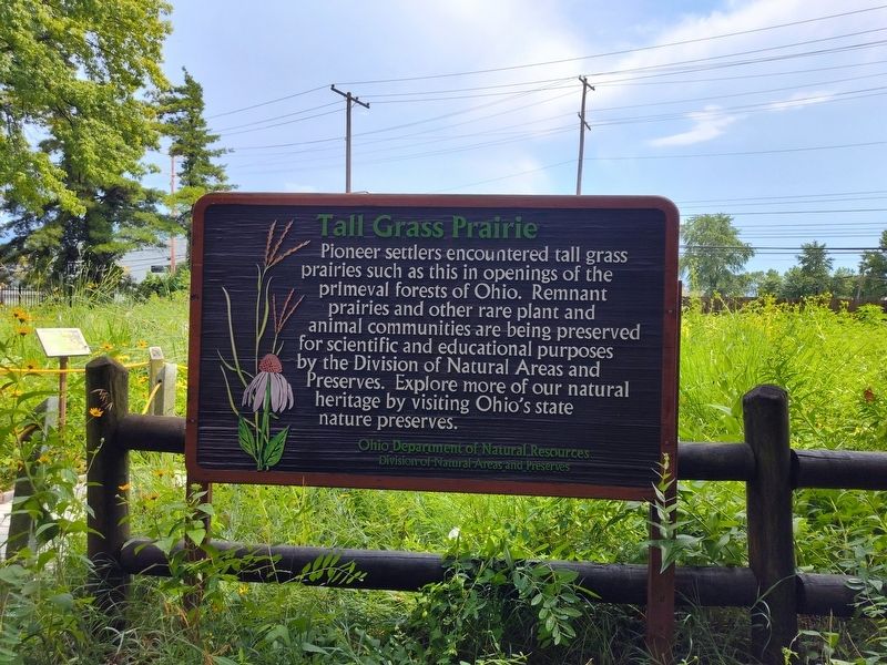 Tall Grass Prairie Marker. Click for full size. Tall Grass Prairie Marker image. Click for full size.
