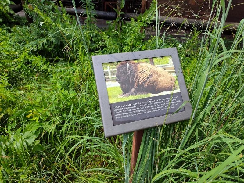 Bison Marker. Click for full size. Bison Marker image. Click for full size.