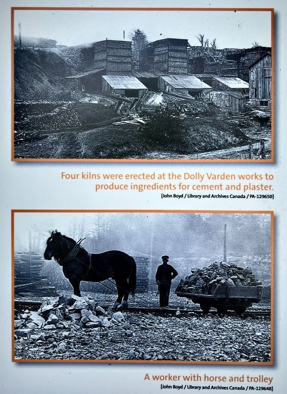 1800s The Origins of Dolly Varden marker photos am captions detail image. Click for full size.