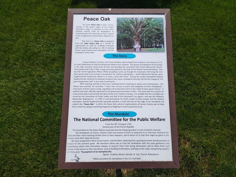Peace Oak Marker image. Click for full size.
