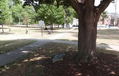 Tree to Commemorate International Literacy Year - Marker in context. Click for full size. Tree to Commemorate International Literacy Year - Marker in context image. Click for full size.