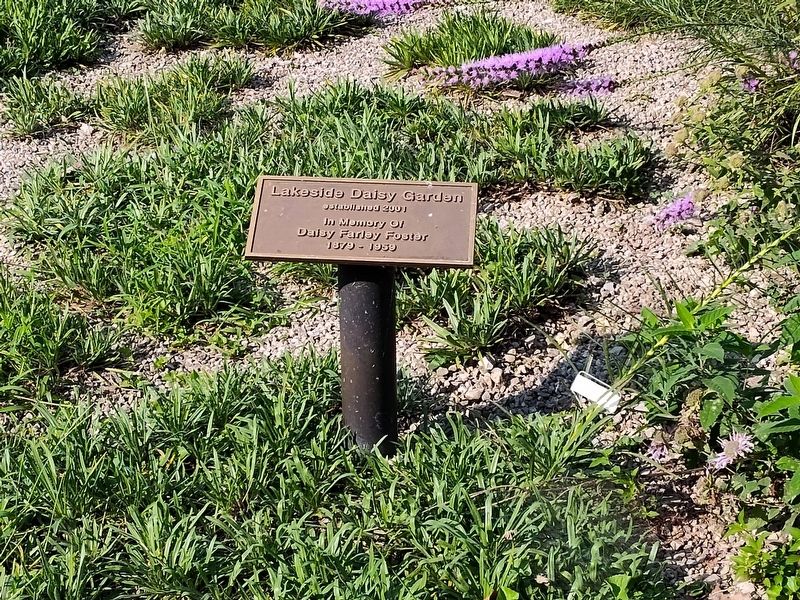 Lakeside Daisy Marker image. Click for full size.