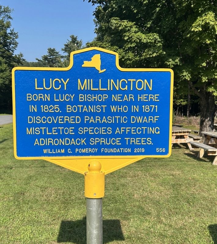 Lucy Millington Marker. Click for full size. Lucy Millington Marker image. Click for full size.