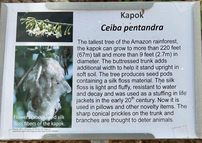 Kapok Marker. Click for full size. Kapok Marker image. Click for full size.