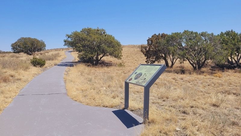 The view of the marker along the trail image. Click for full size.