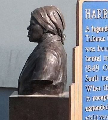 Harriet Tubman's 2022 bust in 2025. Click for full size. Harriet Tubman's 2022 bust in 2025 image. Click for full size.