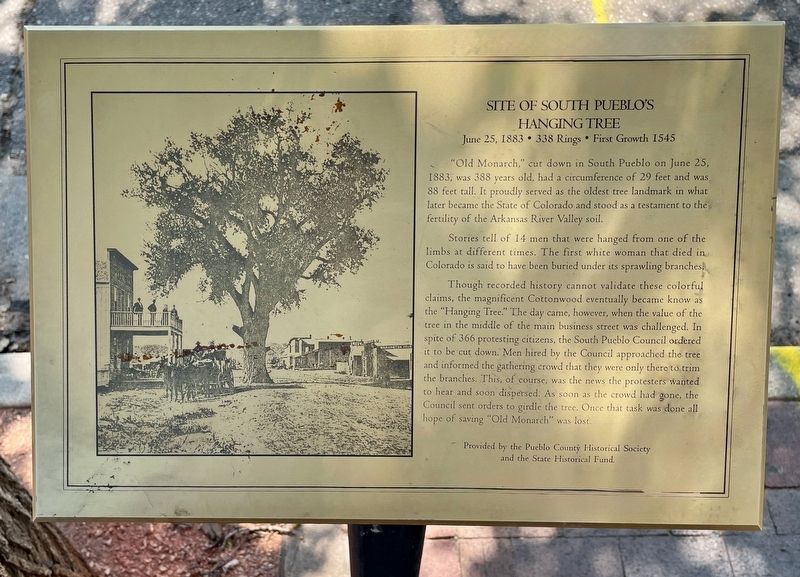 Site of South Pueblo's Hanging Tree Marker. Click for full size. Site of South Pueblo's Hanging Tree Marker image. Click for full size.