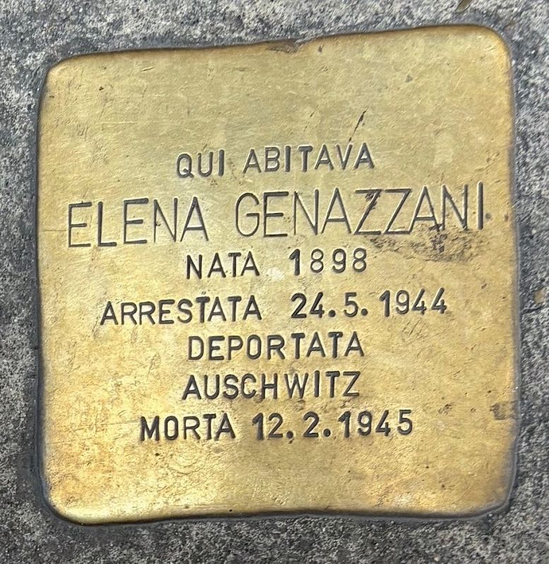Elena Genazzani "Stumbling Stone" image. Click for full size.