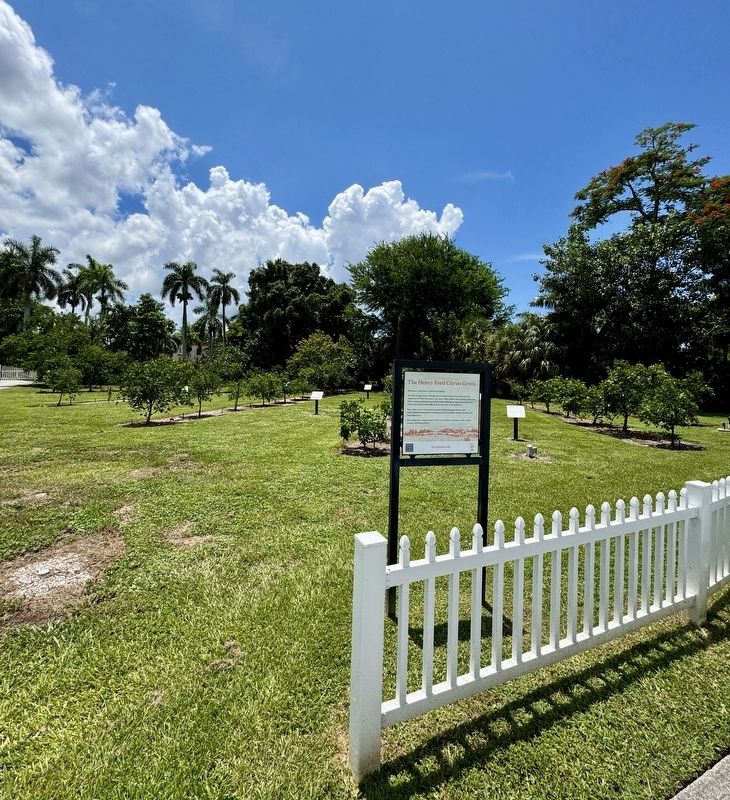 The Henry Ford Citrus Grove Marker image. Click for full size.
