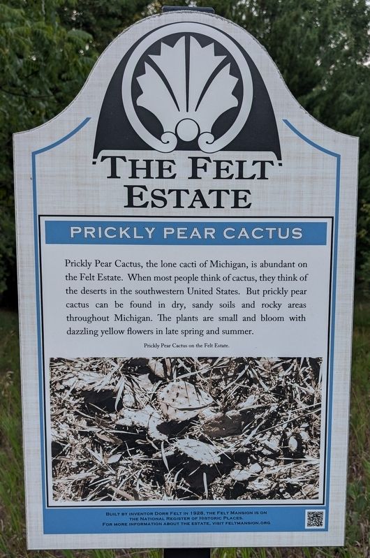 The Felt Estate: Prickly Pear Cactus image. Click for full size.