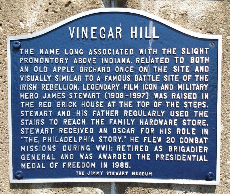 Vinegar Hill Marker. Click for full size. Vinegar Hill Marker image. Click for full size.