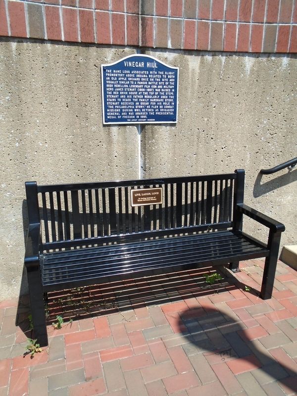 Vinegar Hill Marker. Click for full size. Vinegar Hill Marker image. Click for full size.