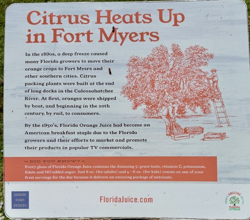 Citrus Heats Up in Fort Myers Marker image. Click for full size.