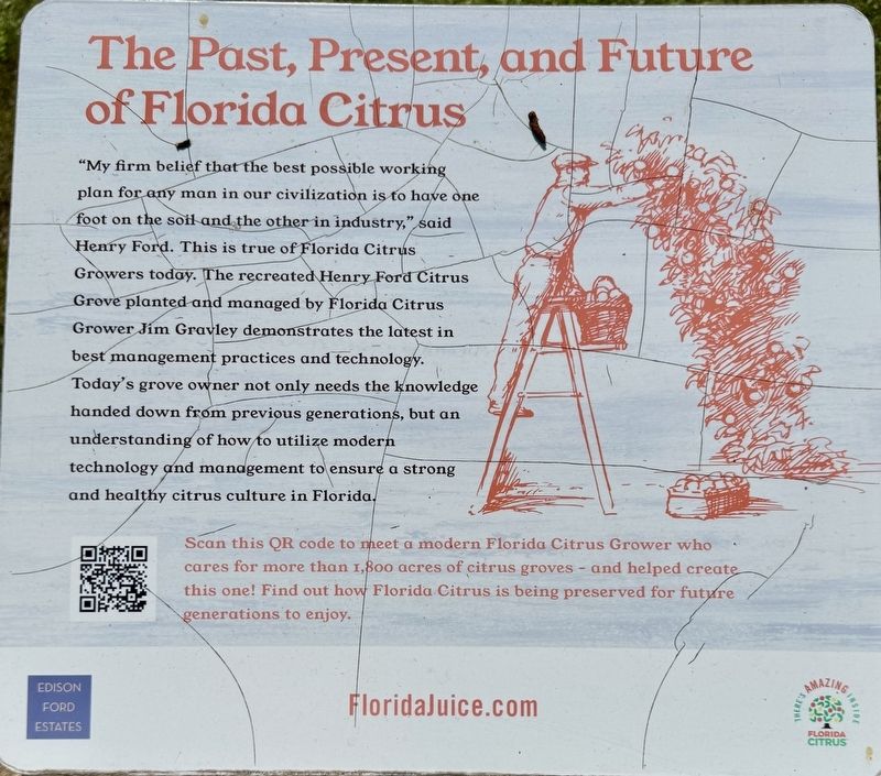 The Past, Present, and Future of Florida Citrus Marker image. Click for full size.