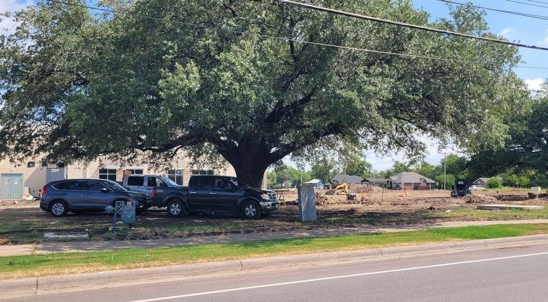 The view of the Burleson College Marker from across the street. Click for full size. The view of the Burleson College Marker from across the street image. Click for full size.