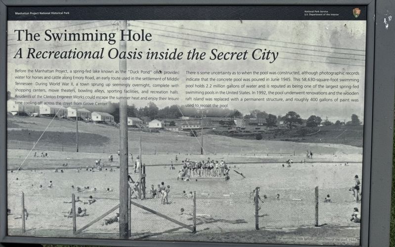 The Swimming Hole image. Click for full size.