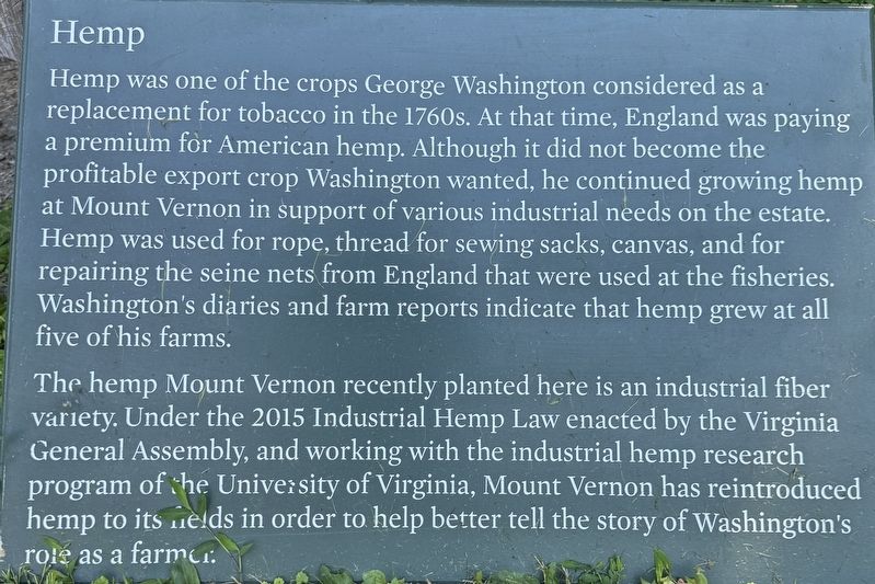 Hemp Marker image. Click for full size.