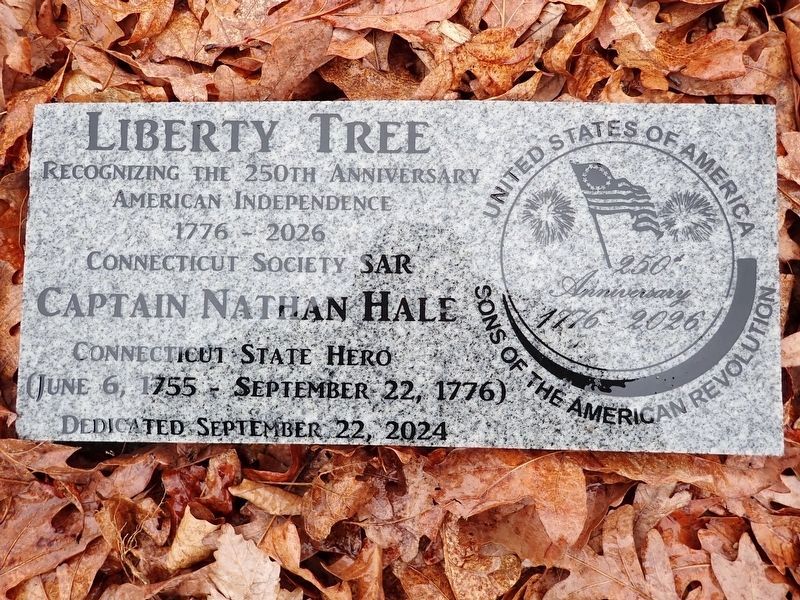 Liberty Tree Marker image. Click for full size.