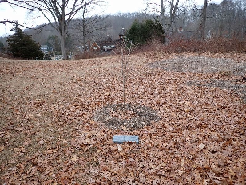 Liberty Tree Marker image. Click for full size.