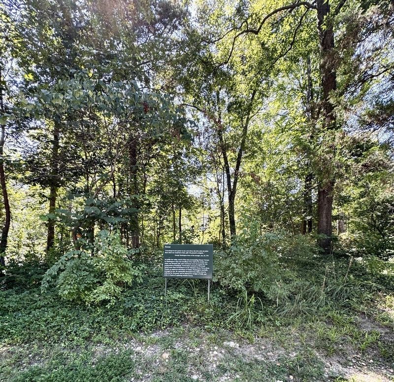 Forest Marker. Click for full size. Forest Marker image. Click for full size.