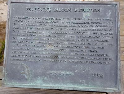 Peregrine Falcon Migration Marker image. Click for full size.