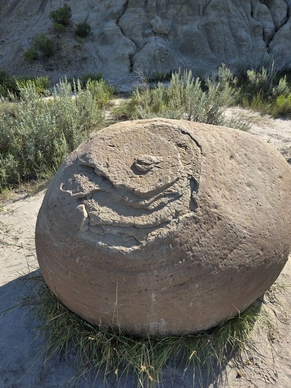 Cannonball image. Click for full size.