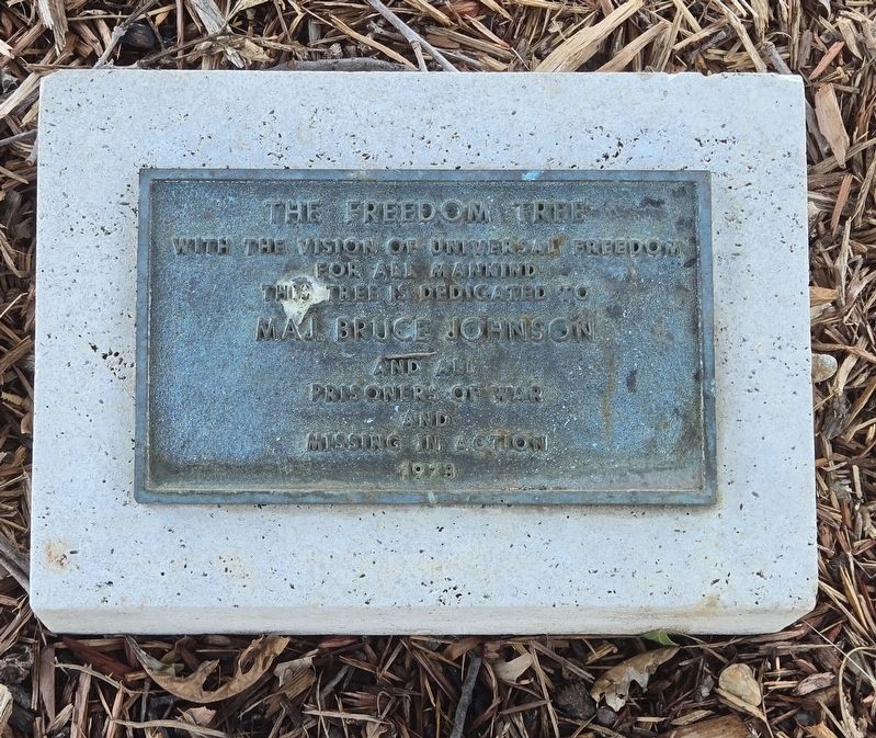 The Freedom Tree Marker. Click for full size. The Freedom Tree Marker image. Click for full size.