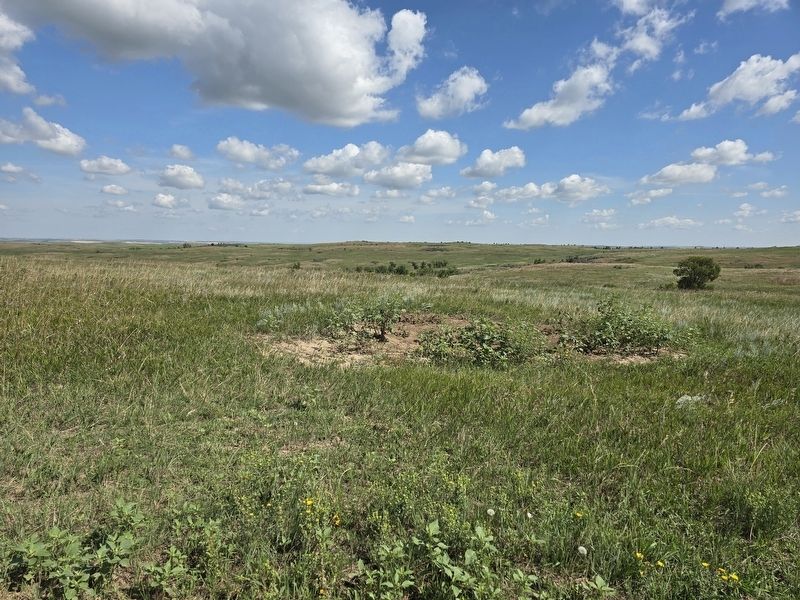 Surrounding Grass Land image. Click for full size.