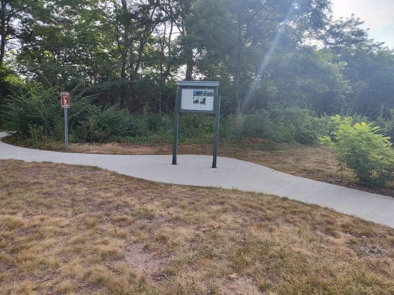 Look to the Skies - Bald Eagles at New Rochester Park Marker image. Click for full size.