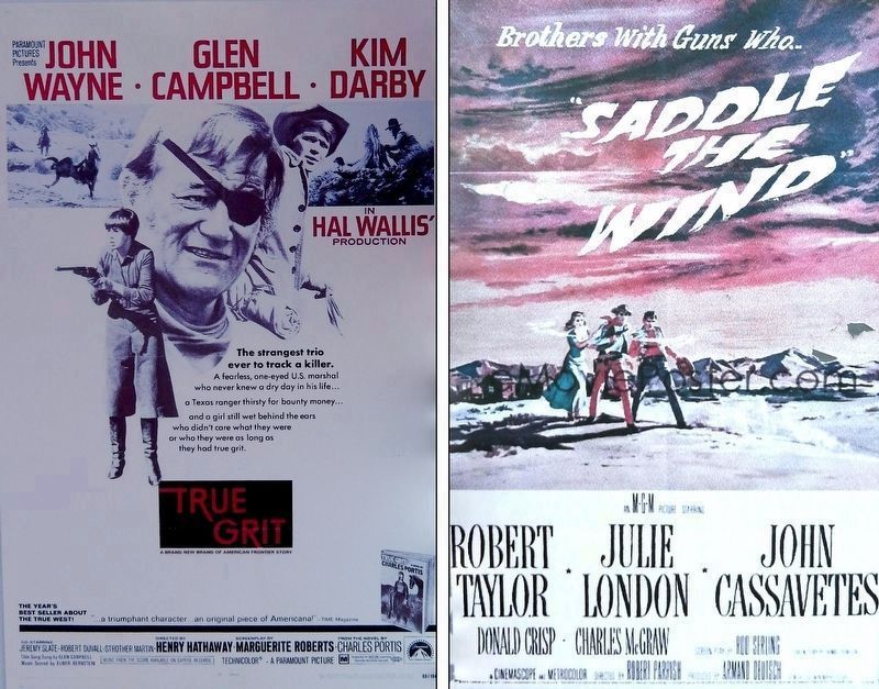 Marker detail: Cinema Posters. Click for full size. Marker detail: Cinema Posters image. Click for full size.