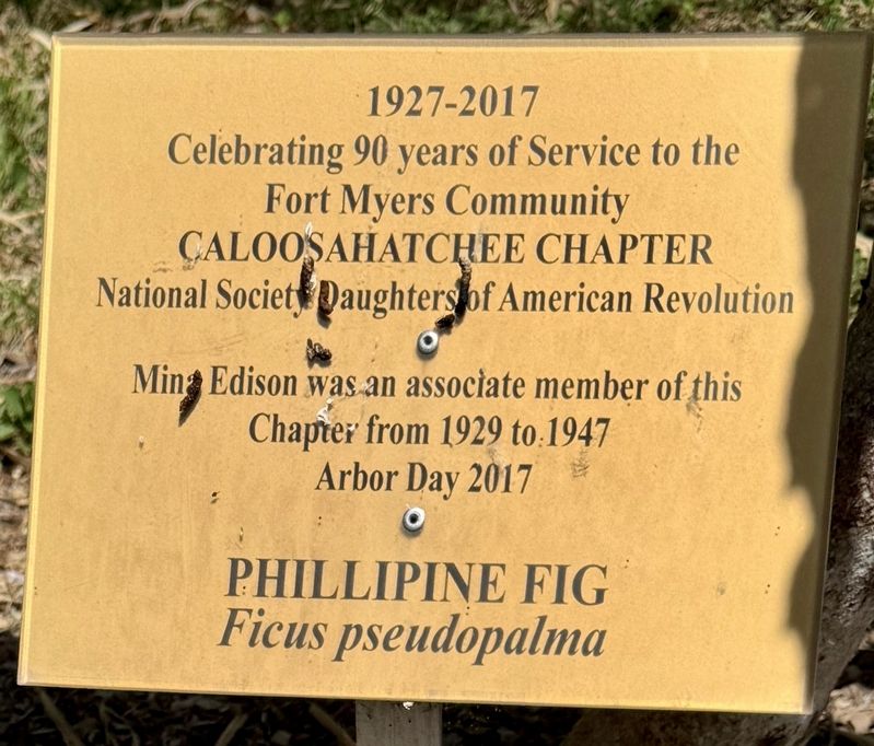 National Society Daughters of American Revolution Caloosahatchee Chapter Marker image. Click for full size.