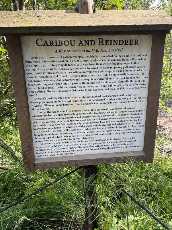 Caribou and Reindeer Marker. Click for full size. Caribou and Reindeer Marker image. Click for full size.